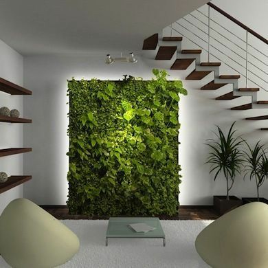 دیوار های سبز اکسیژنی برای محیط شهری